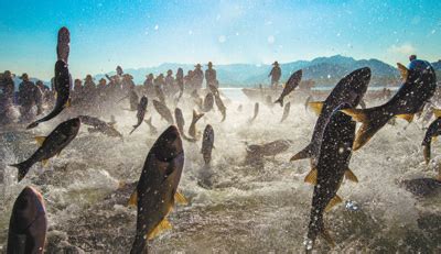 水湖傅|将论文写在江河湖泊中